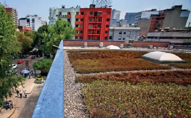 En México, Walmart está dando prioridad a un mejor uso del agua debido al problema de escasez del líquido, mediante proyectos como las azoteas verdes en algunas tiendas. (Foto: Adán Gutiérrez)
