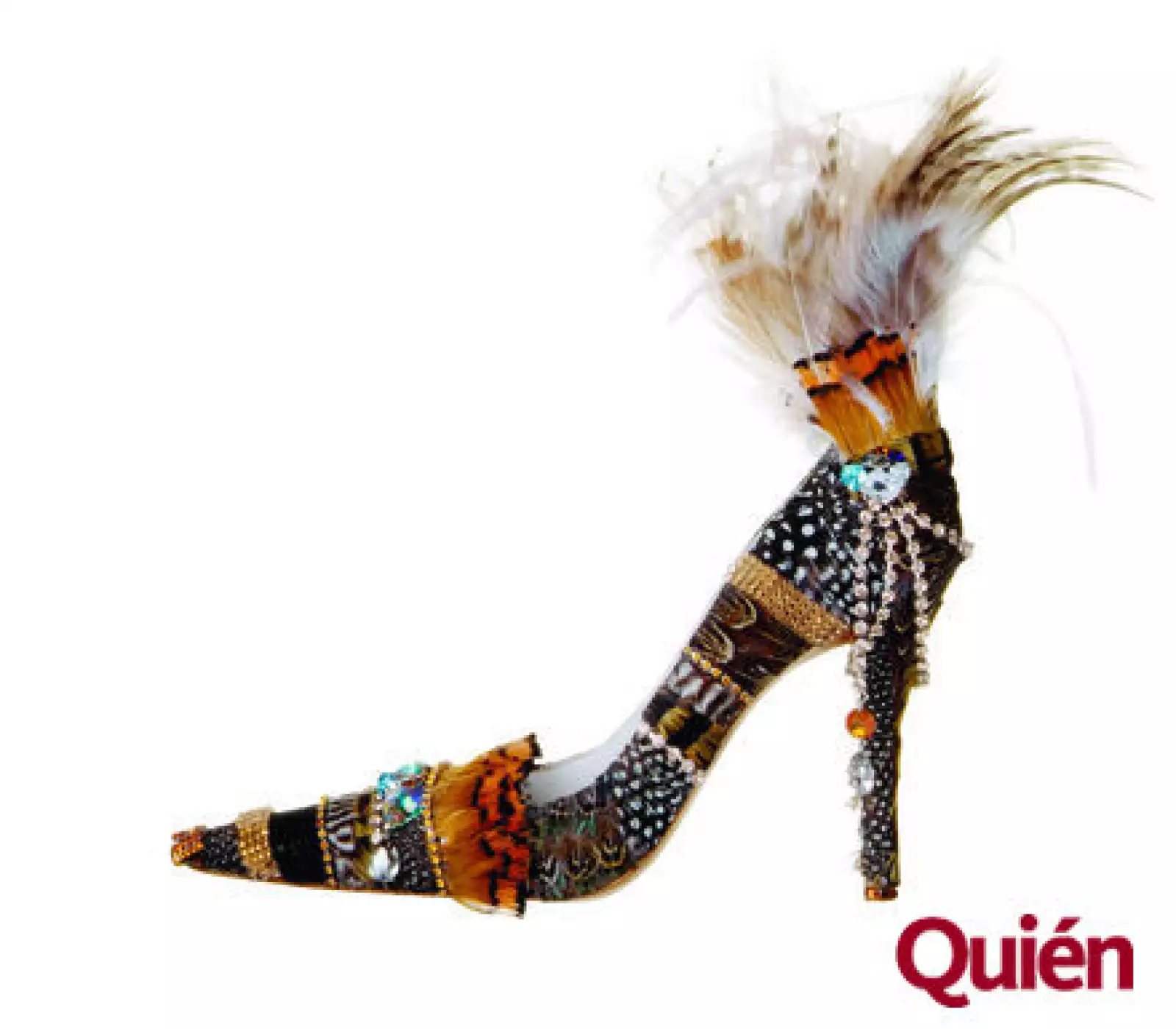Zapatos con plumas
