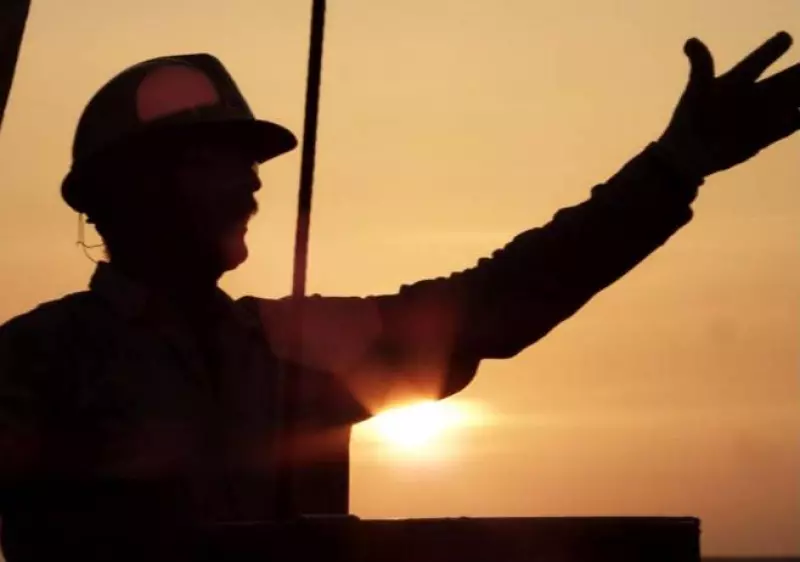 obra p�blica, construcci�n