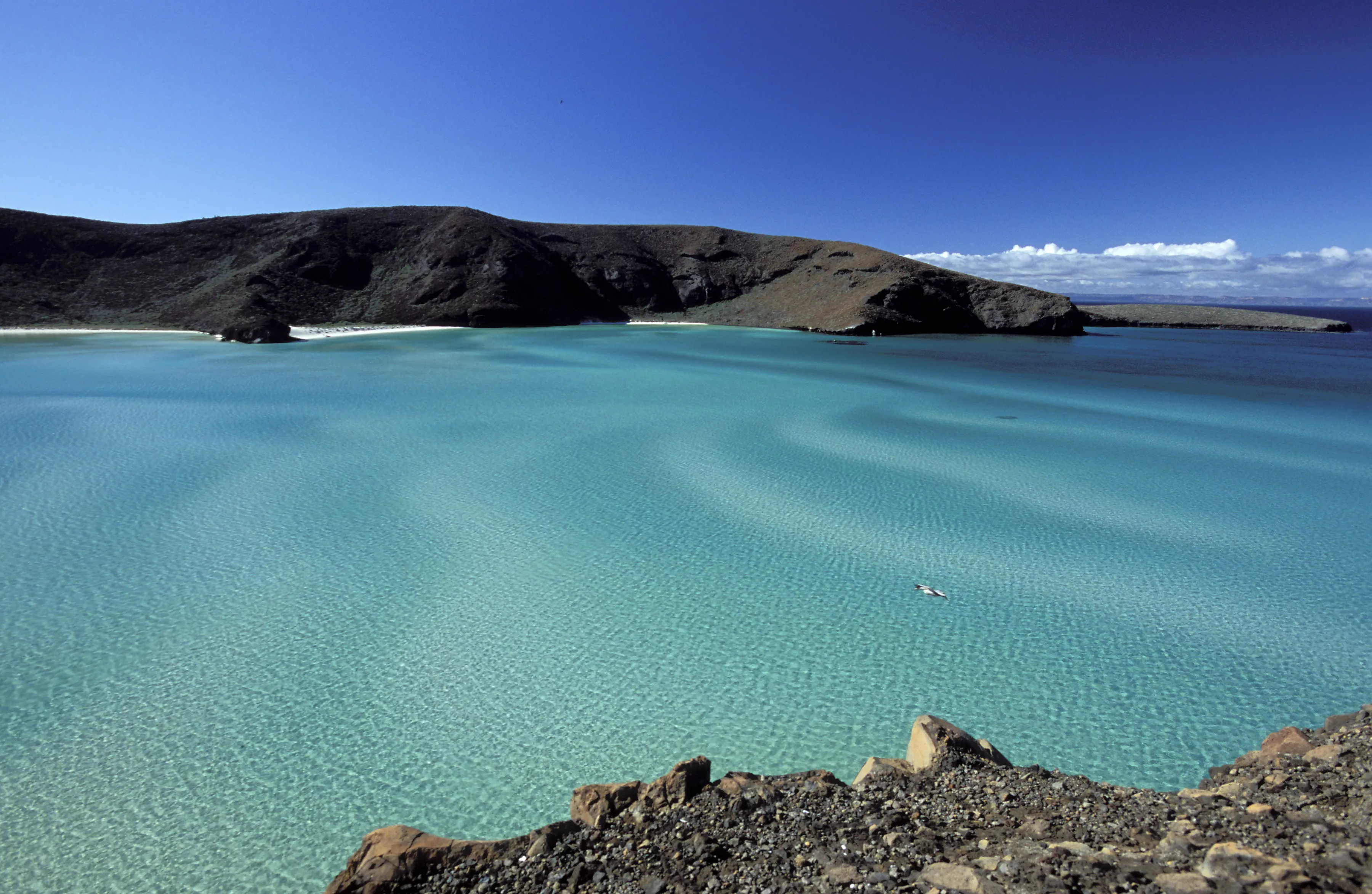 Las mejores playas en La Paz para visitar en verano