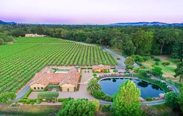 Napa-viñedo.png