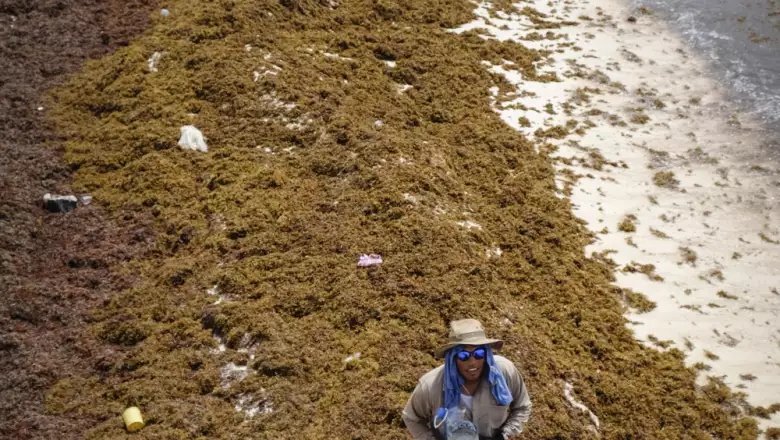 Invasión