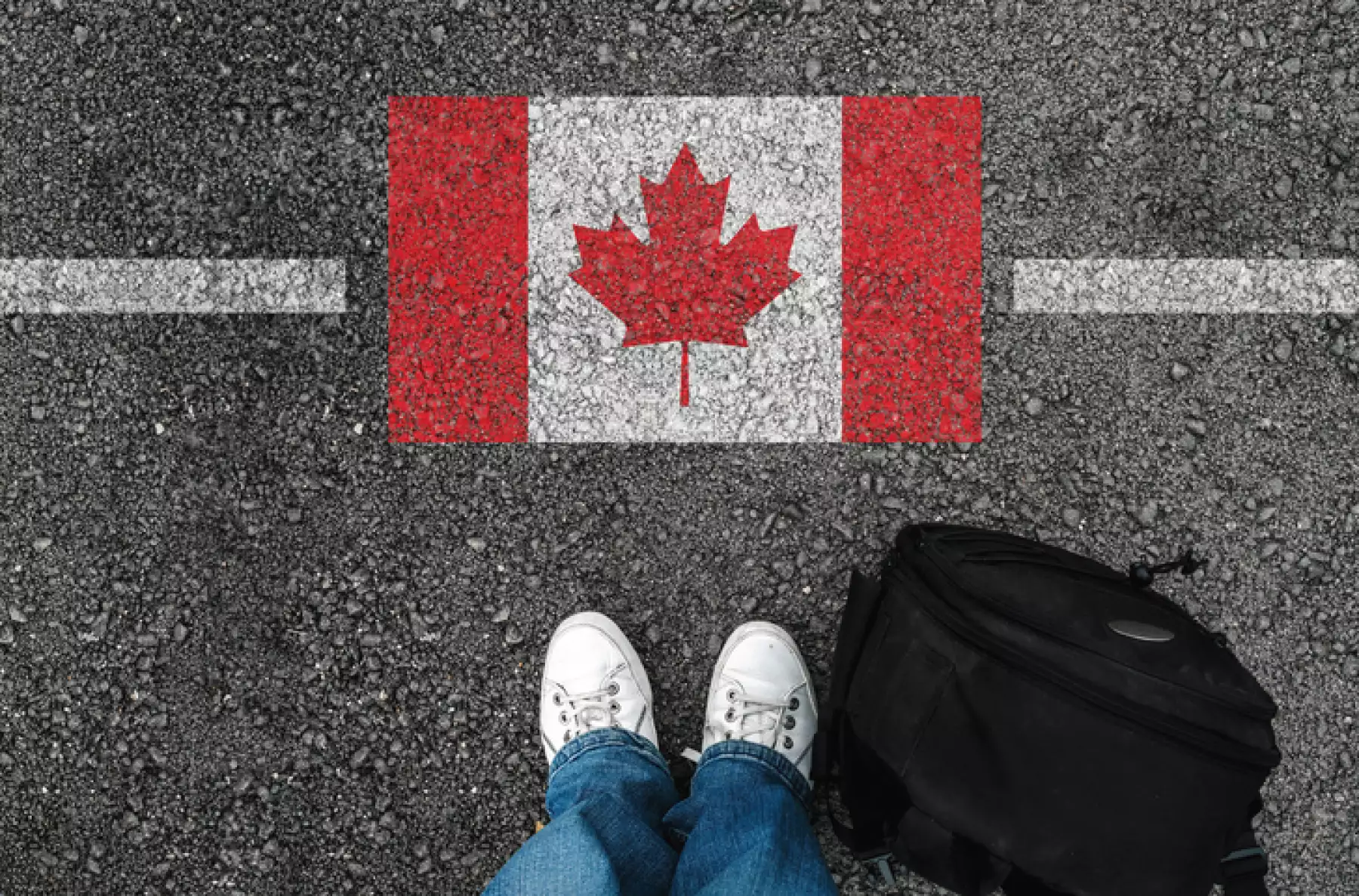 Canadá te busca para que estudies y trabajes en alguna de sus provincias
