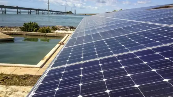 Paneles solares