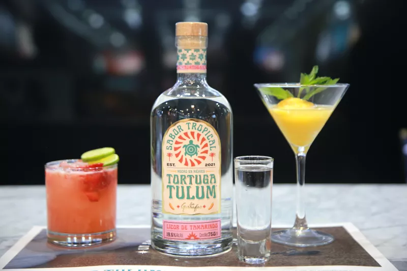 TORTUGA TULUM