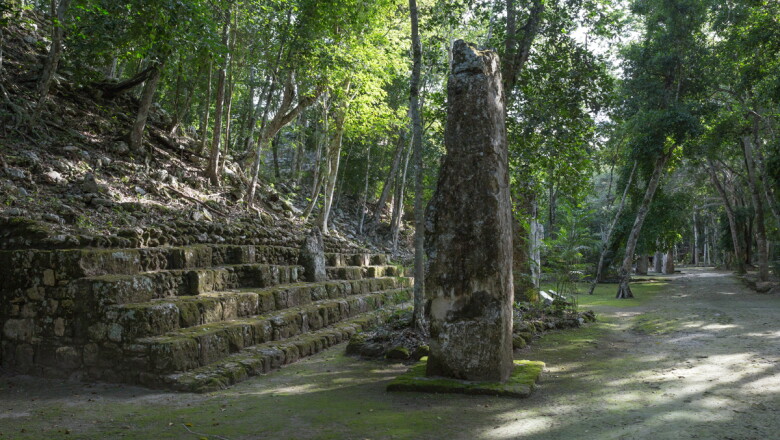 Así es en la actualidad la zona donde se construirá la Estación Calakmul