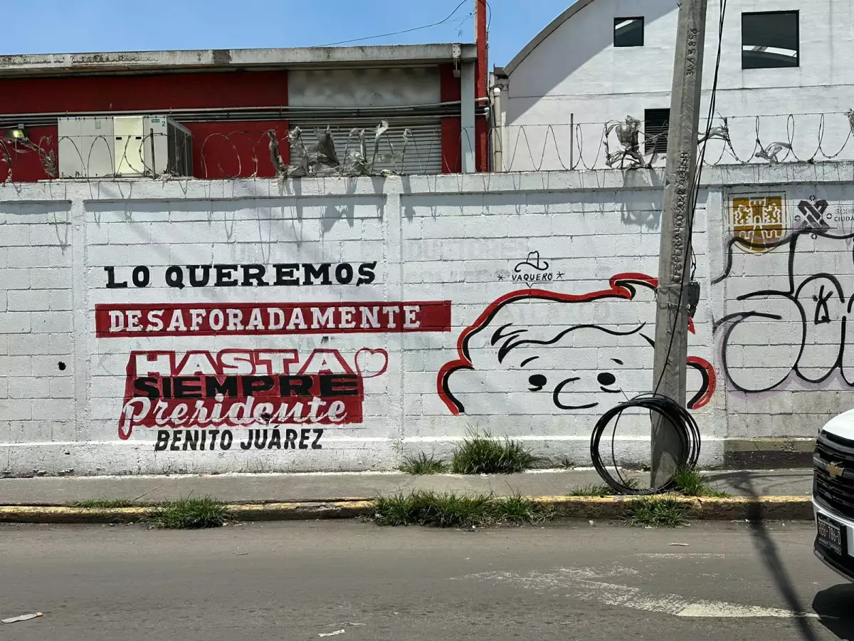 Barda-amlo-iztapalapa.jpeg