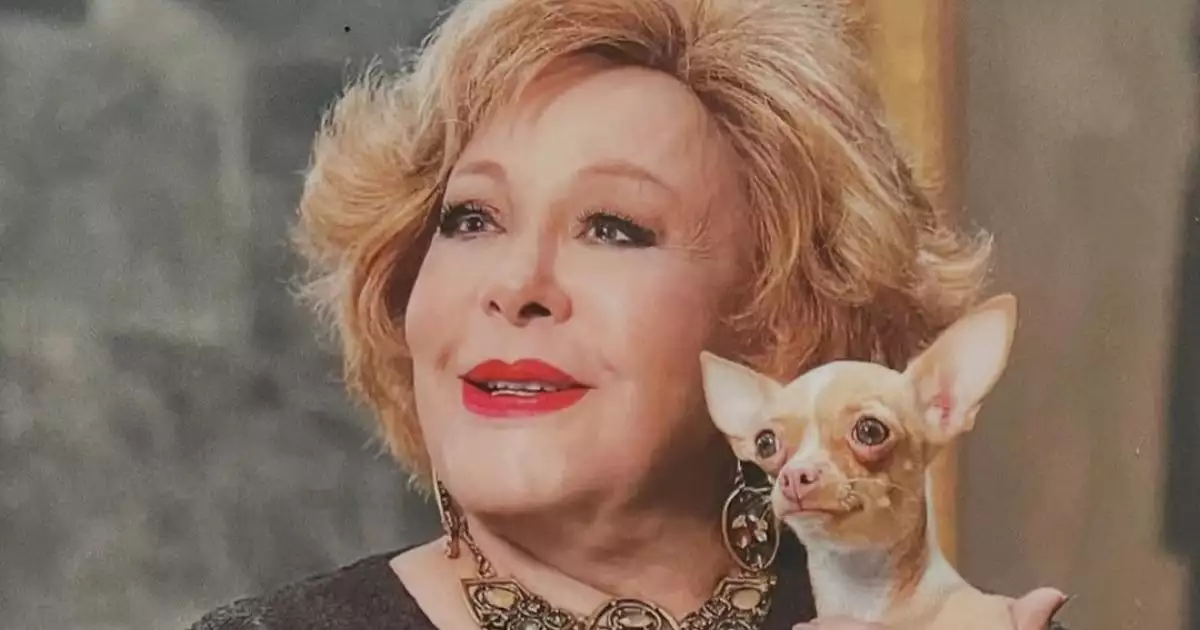 Cosita, la perrita de Silvia Pinal, extraña a la diva y llora al oler un abrigo de la actriz 