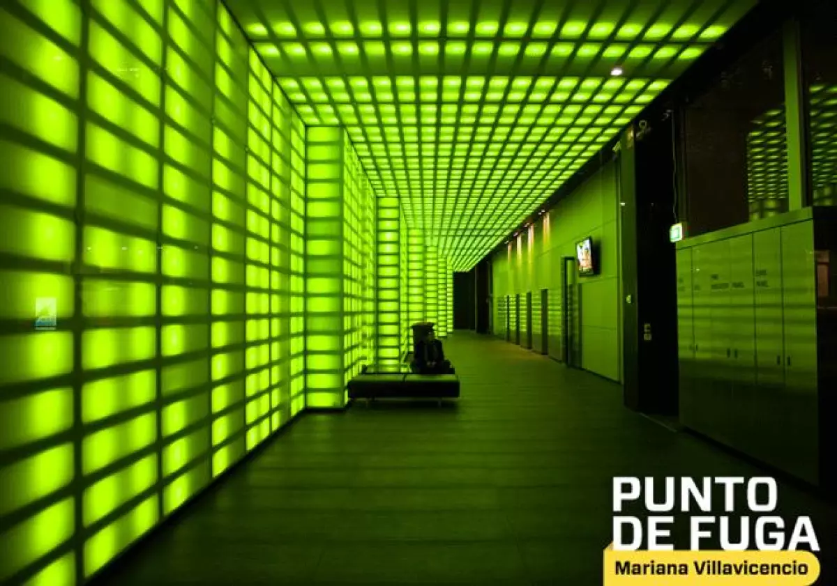 Punto de Fuga: verde no es eco-friendly