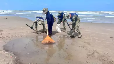 Derrame de petróleo en playas: recolectan 889 toneladas de hidrocarburo en Veracruz y Tabasco 