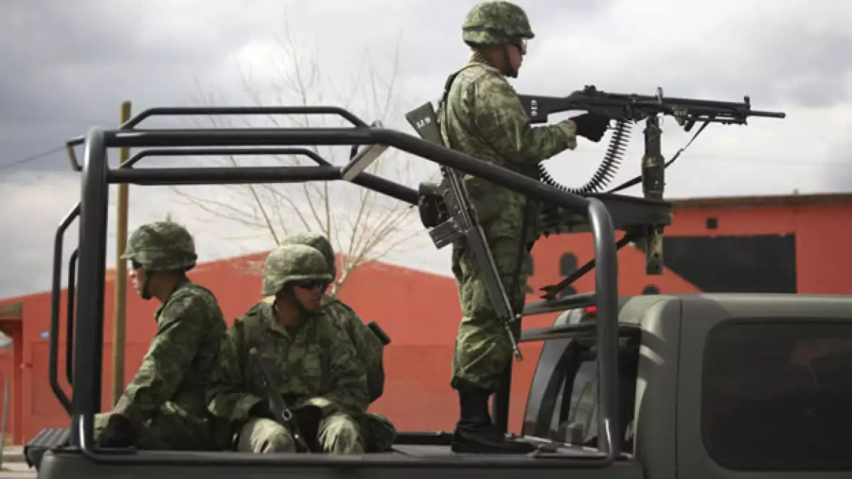EU estima que cuando los militares regresen a sus tareas tradicionales habrá un aumento en la erradicación de cultivos de marihuana y opio