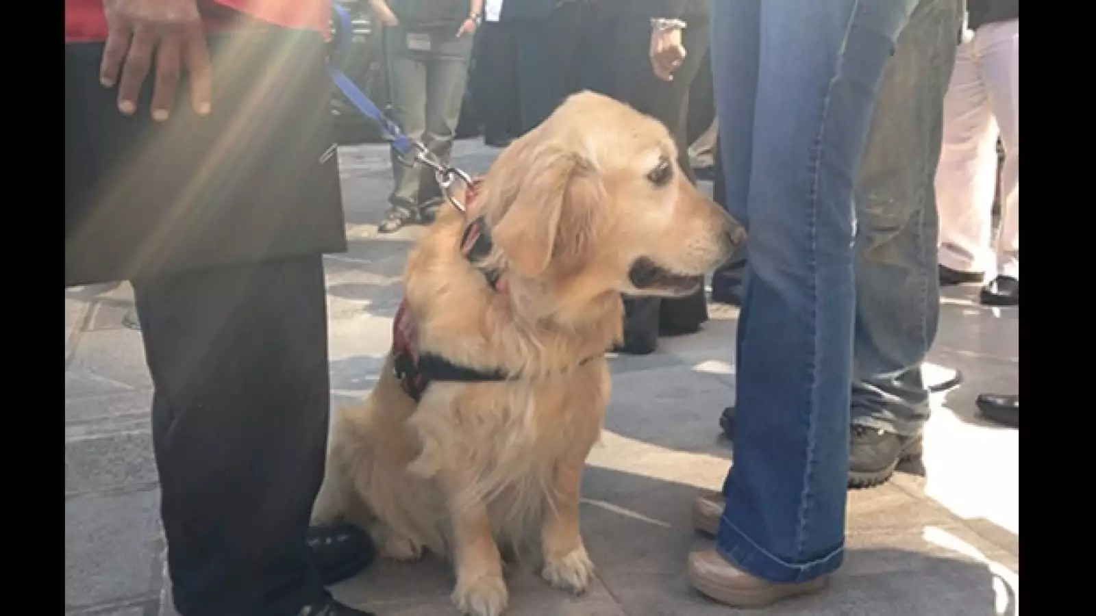 Pemex homenaje rescatistas