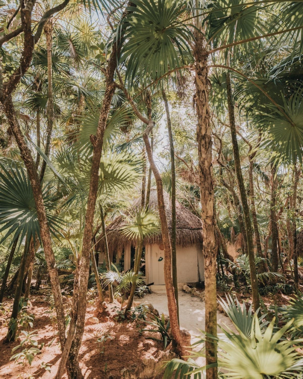 las-cabañas-papaya-playa-project.jpg
