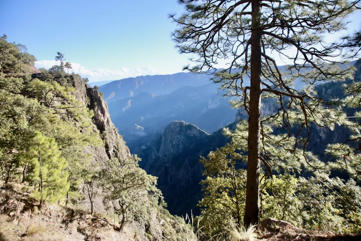 Barranca de Urique, desde el Cerro del Gallego