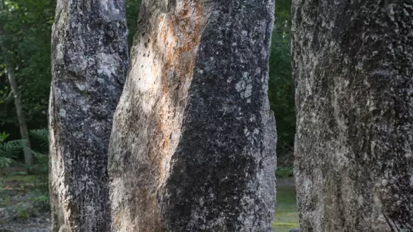 Así es en la actualidad la zona donde se construirá la Estación Calakmul