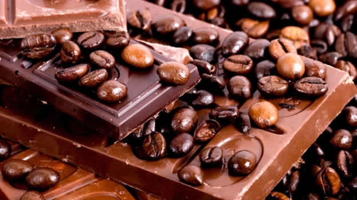 granos de cacao chocolate