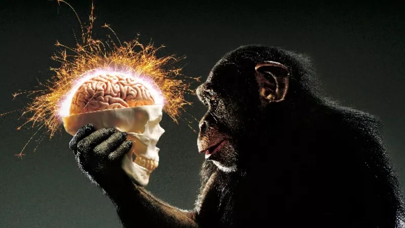 inteligencia homo sapiens