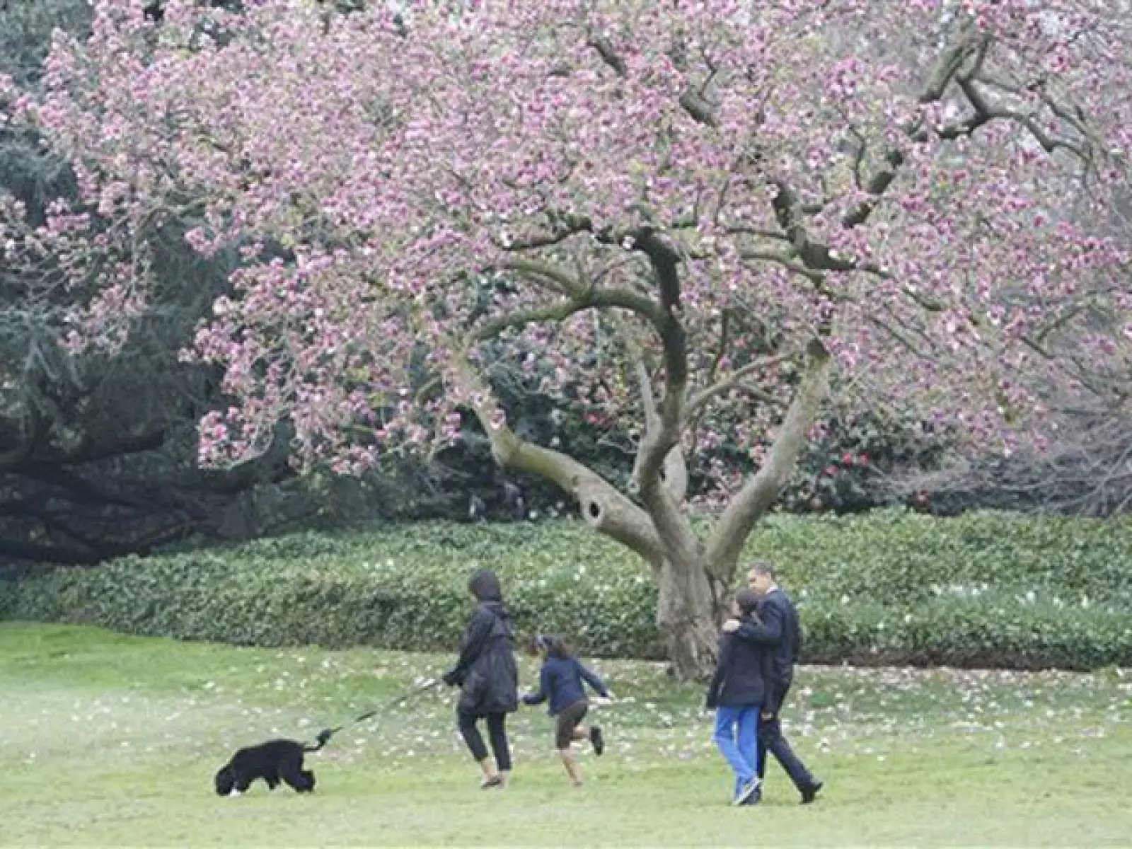 El perro fue un regalo del senador Edward M. Kennedy, un aficionado a esa raza de canes.