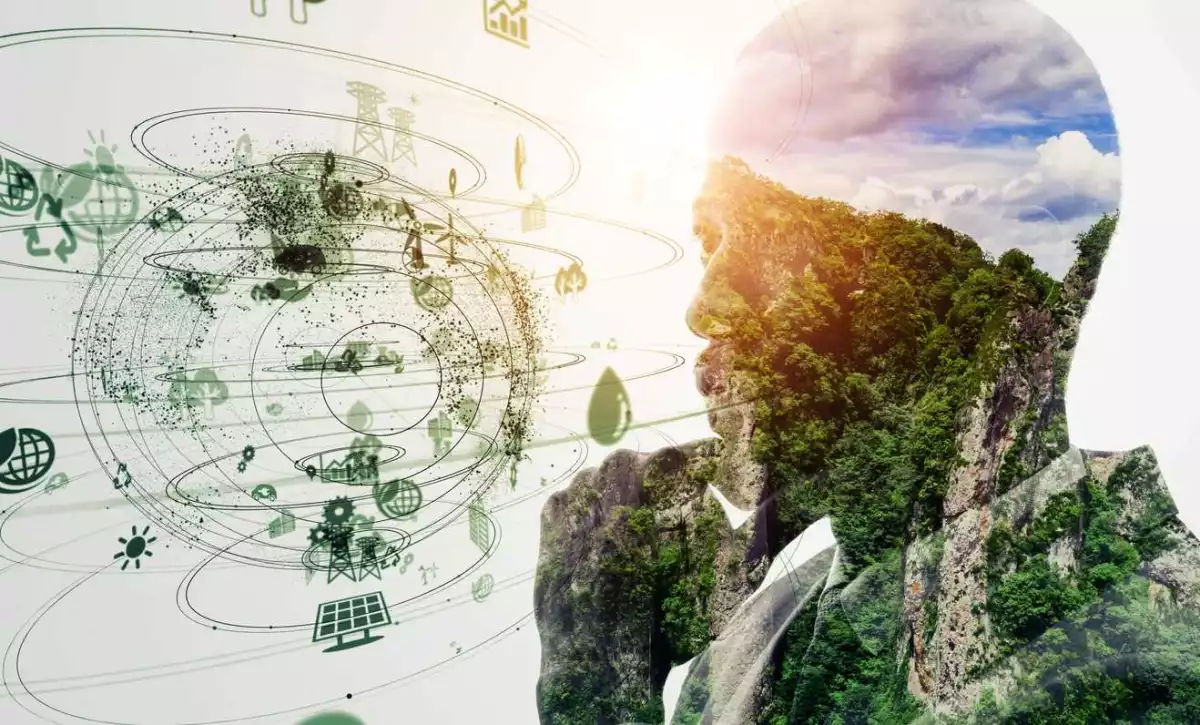 empresas sustentables - sostenibilidad - sustentable - negocios - responsabilidad con el medio ambiente