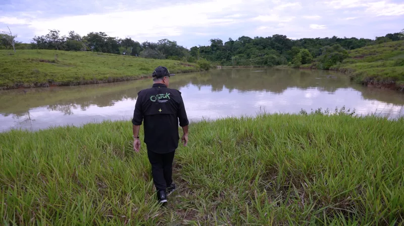 hipopotamos colombia