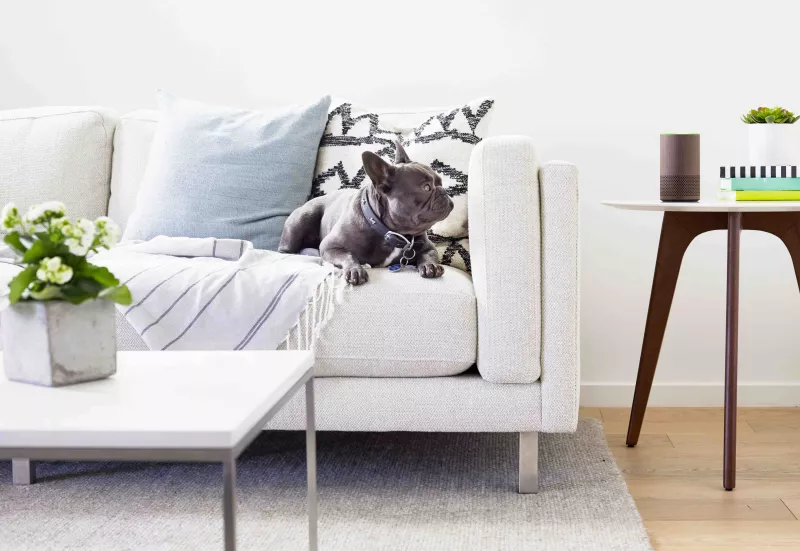 Walnut Echo, Living Room Hires.jpg