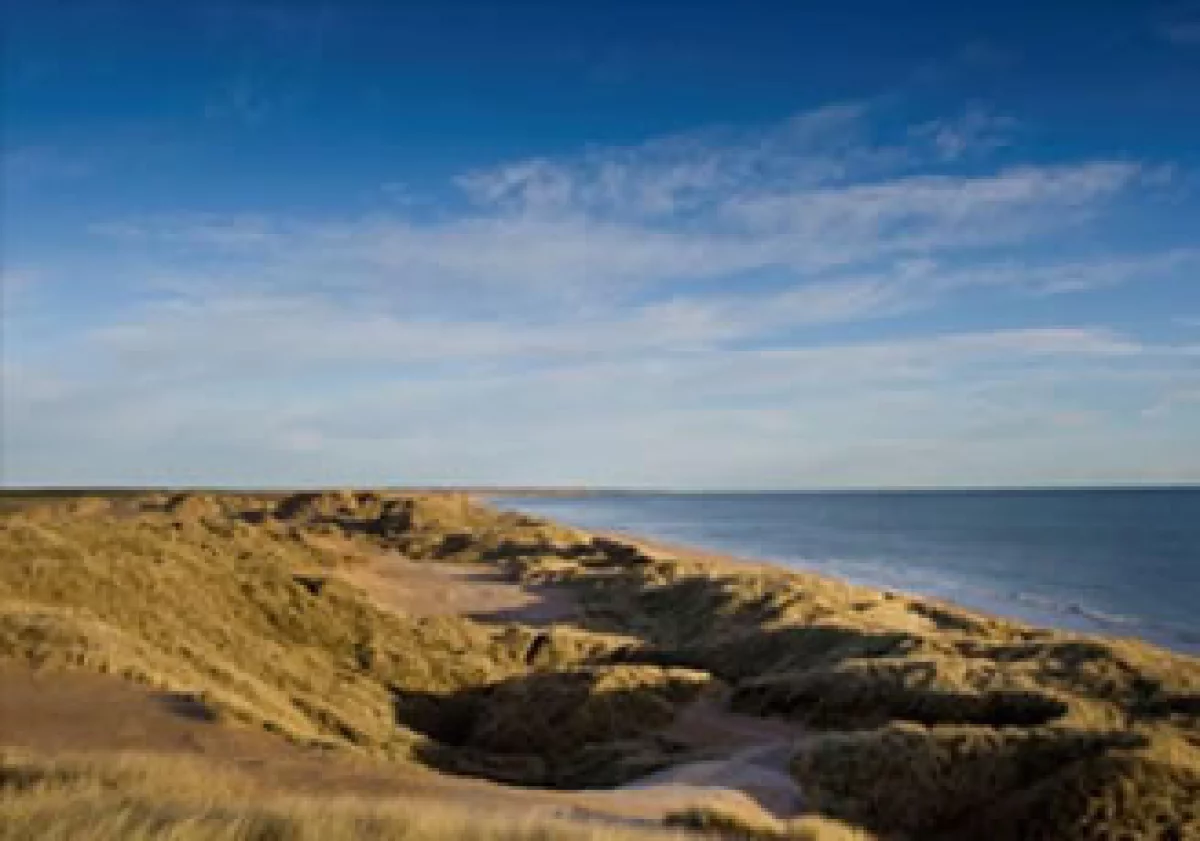 El proyecto de Trump busca mantener gran parte del paisaje como espacio abierto. (Foto: Cortesía CNNMoney.com)