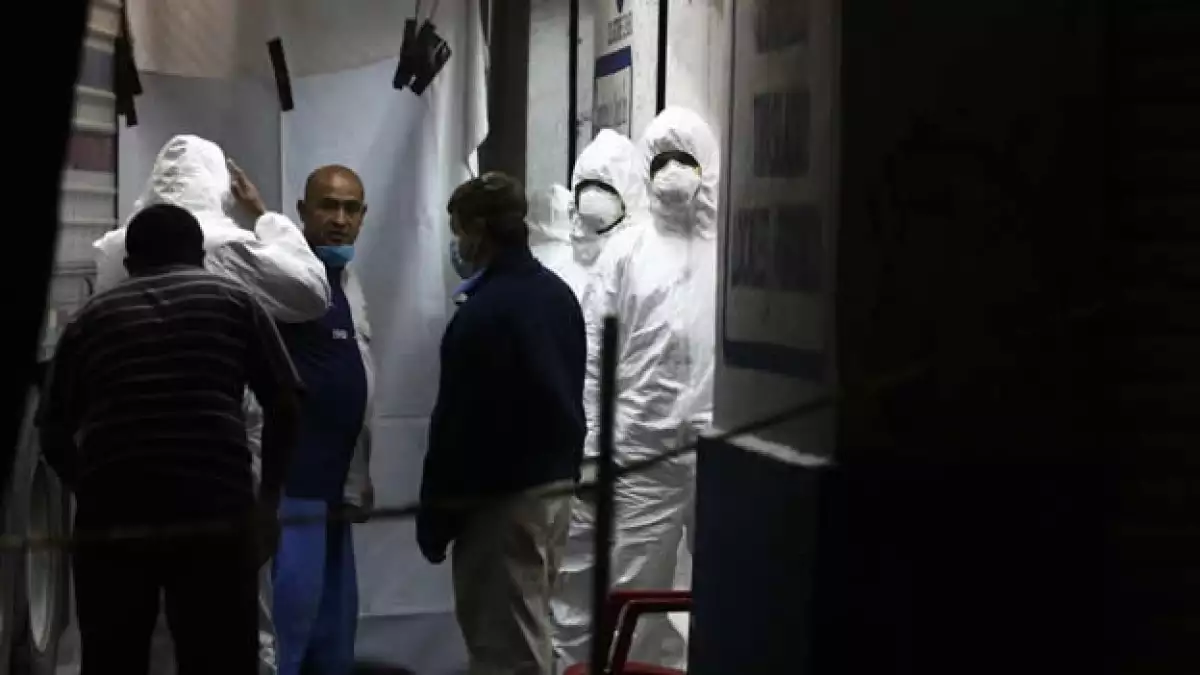 Forenses
