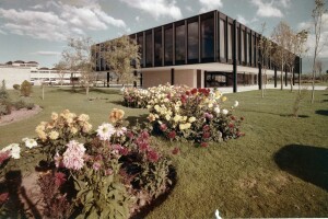 Oficinas de Bacardí - Ludwig Mies Van der Rohe