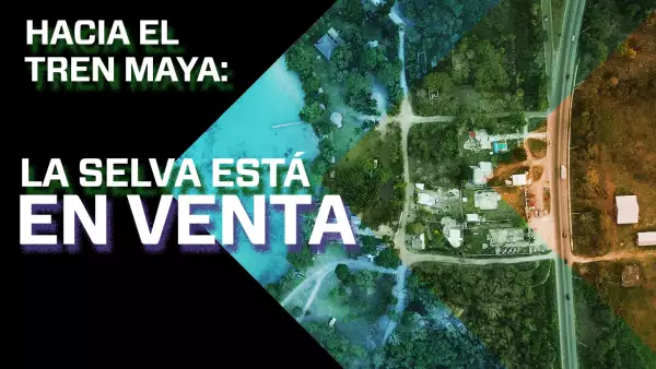 Hacia el Tren Maya: la selva está en venta