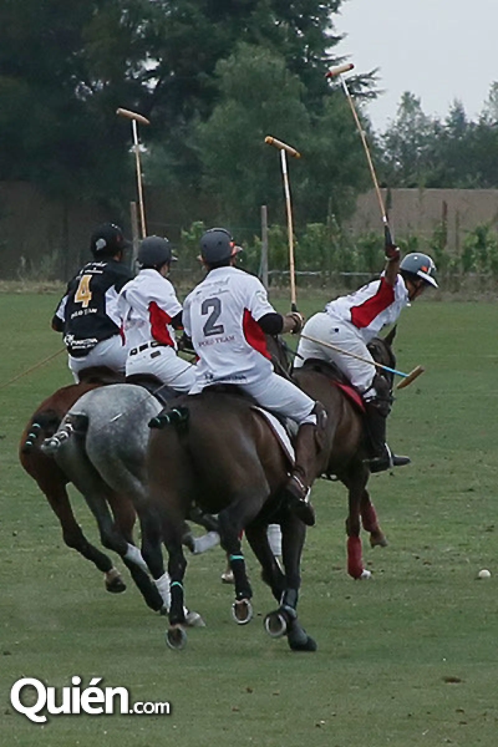 Partido de Polo