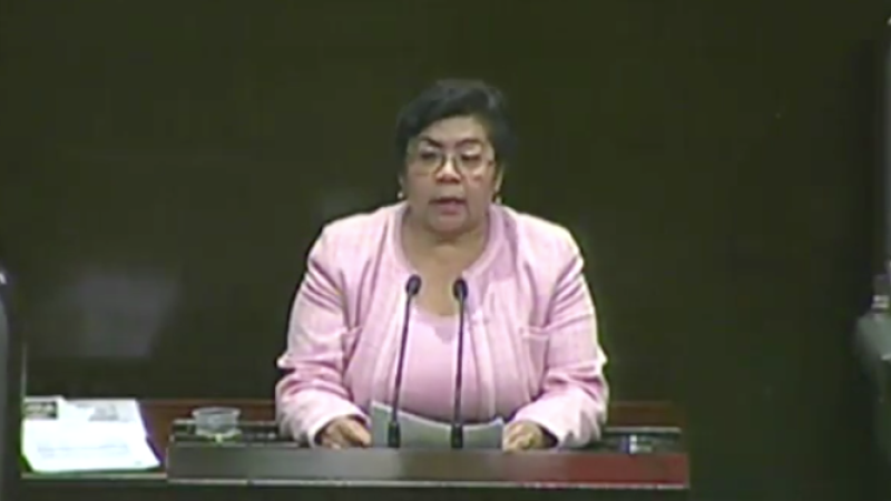 María chávez