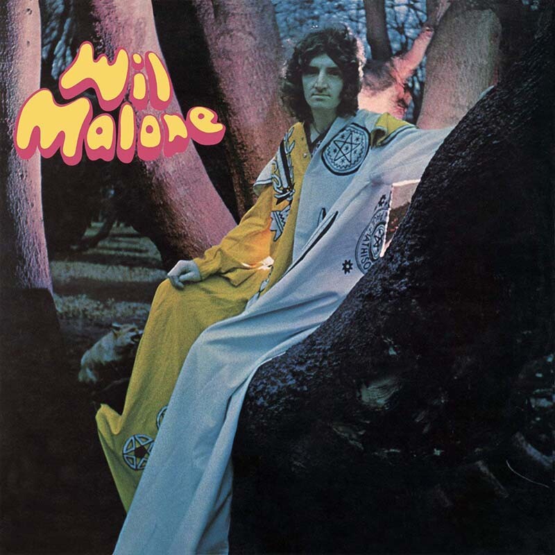 Vinilo 4.jpg