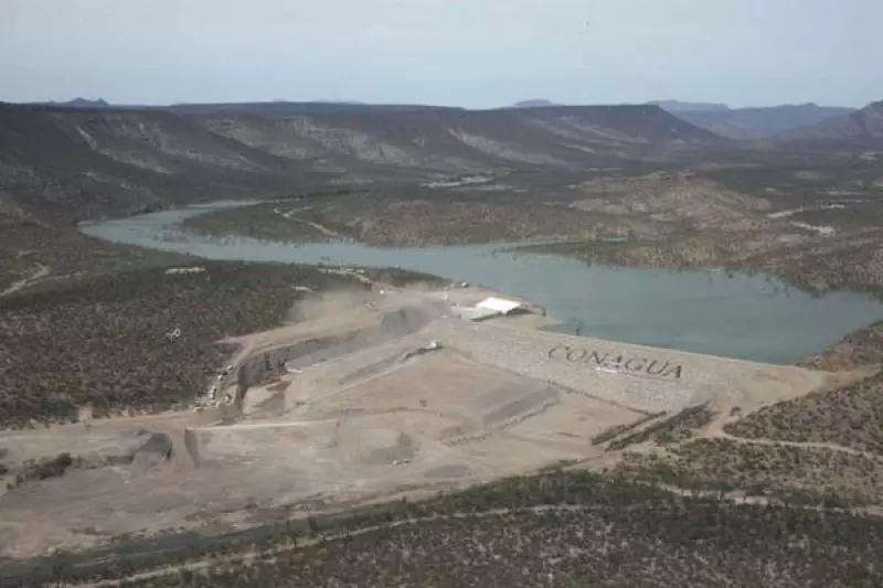 A. Andr�s Alvarado A.