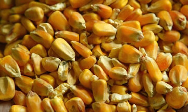 México estima reducir 16% las importaciones de maíz amarillo desde EU. (Foto: Getty Images )