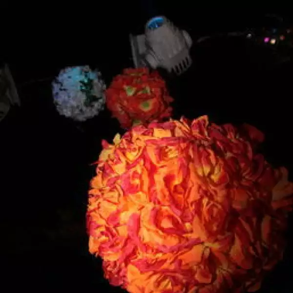 Ambiente Cumpleaños Anne Sanchez Osorio