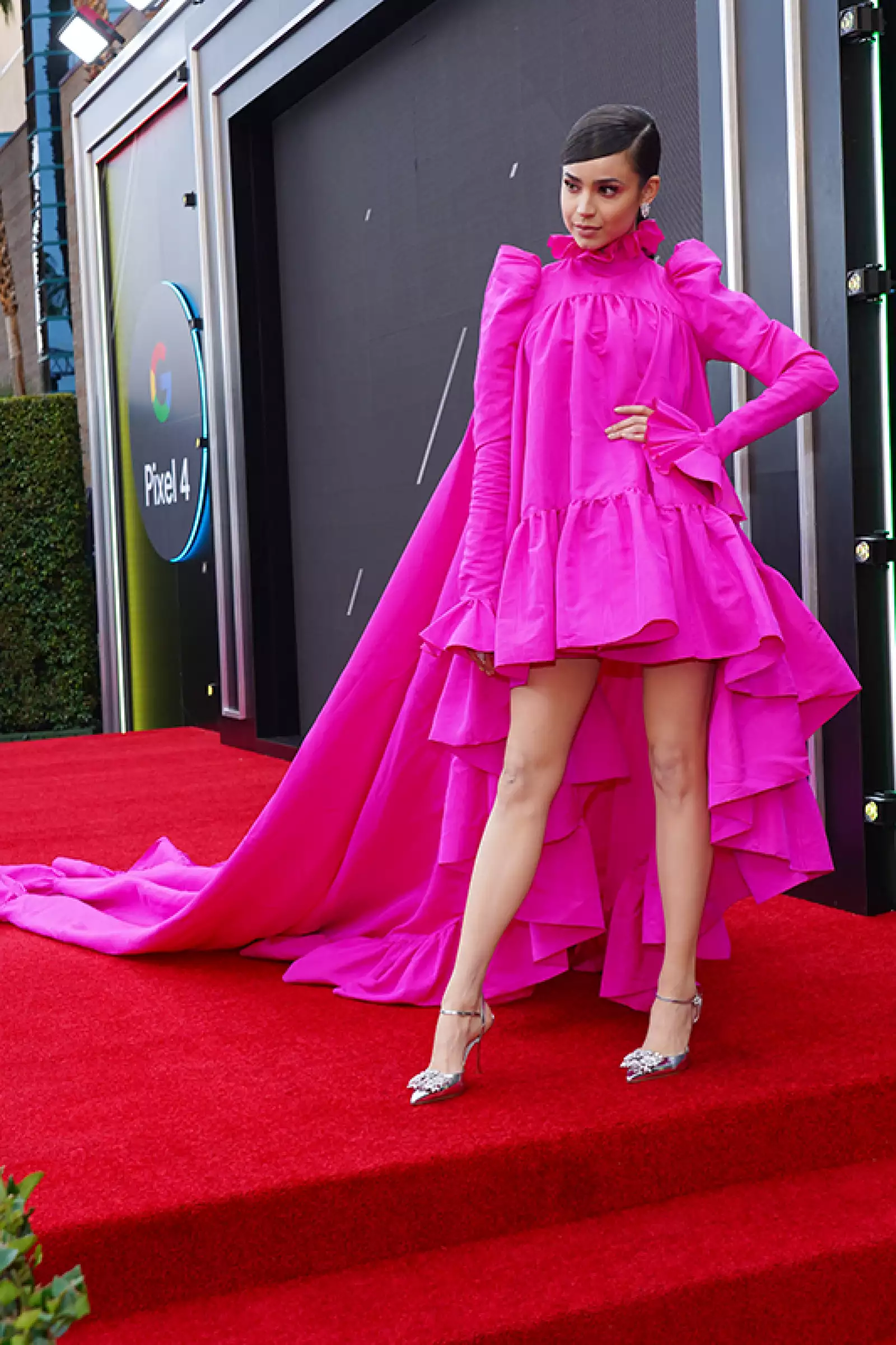 The 20th Annual Latin GRAMMY Awards - Red Carpet