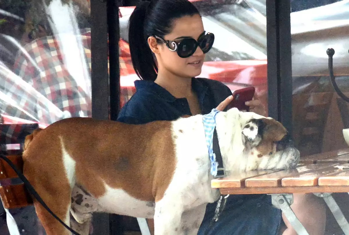 maite-perroni-perro