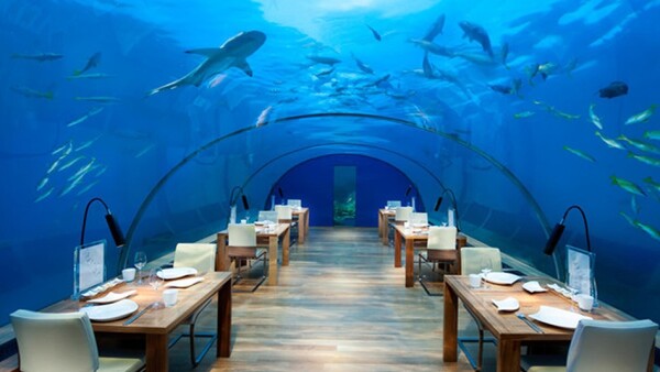 Ithaa Undersea Restaurant (Isla Rangali, Islas Maldivas)