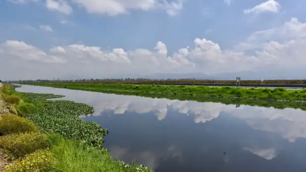 Un cuerpo de agua rodeado de vegetación verde a cielo abierto con nubes.
