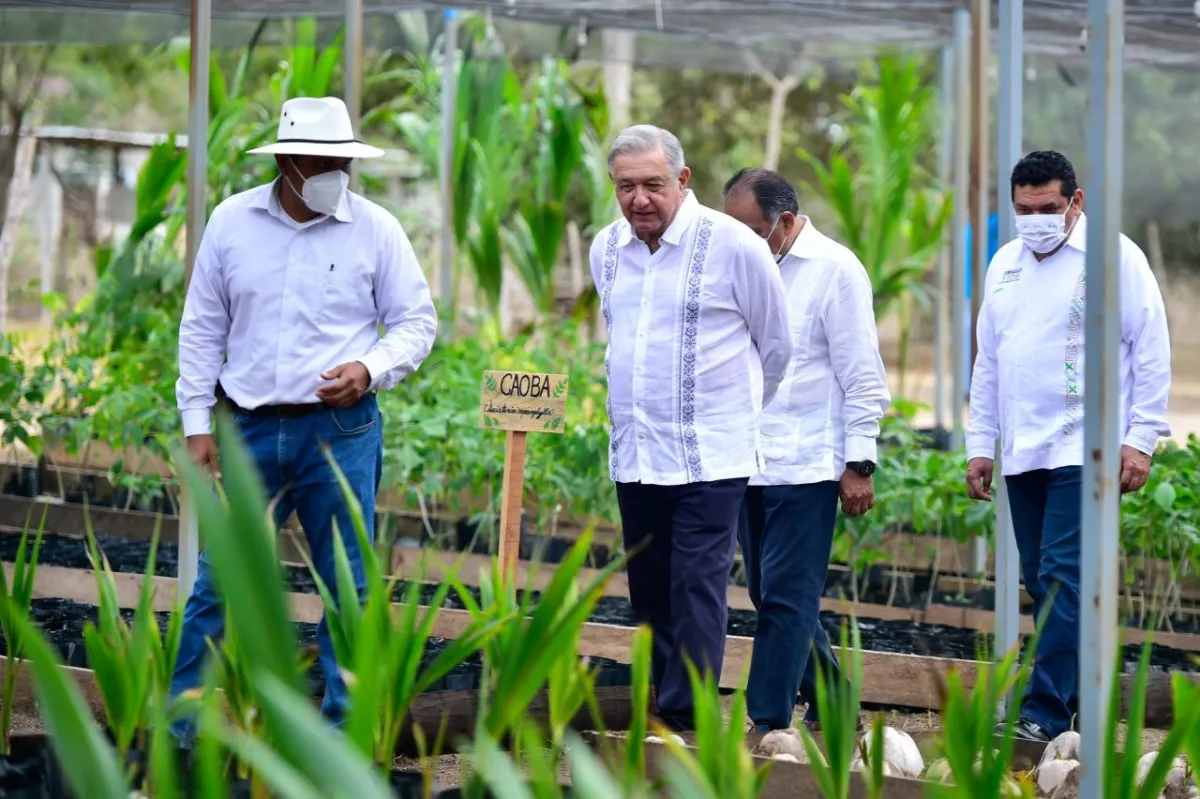 Andrés Manuel López Obrador, presidente de México encabezó el evento protocolario Sembrando Vida en la Comunidad de Aprendizaje Campesino (CAC) “Campesinos Unidos” en Palos Blancos, Petatlán, Guerrero.