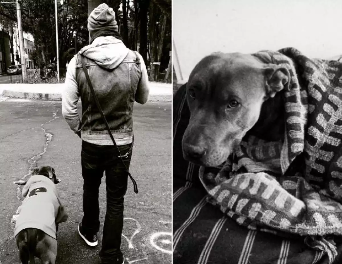 Alberto Guerra paseando con Perrou en las calles de la Colonia Condesa.