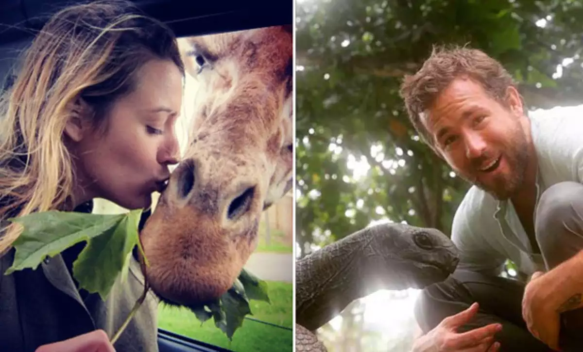La pareja ama estar en contacto con la naturaleza.