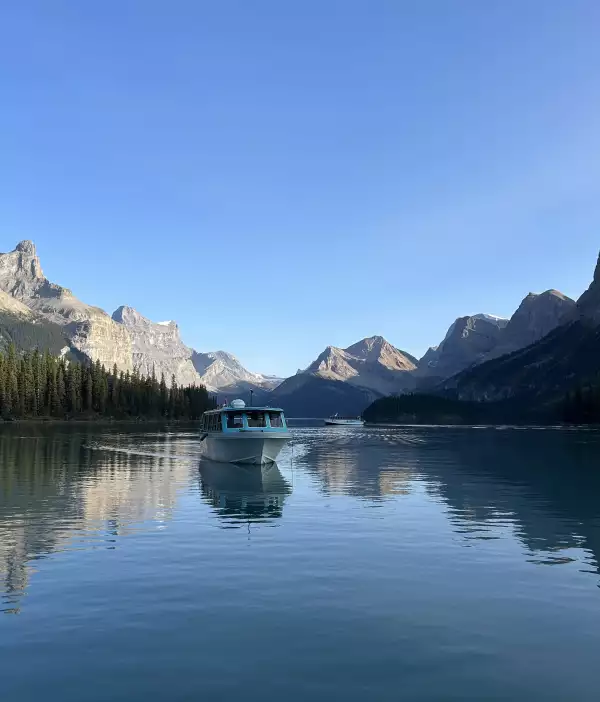 Foto de los bosques de Jasper, en Alberta, Canadá.