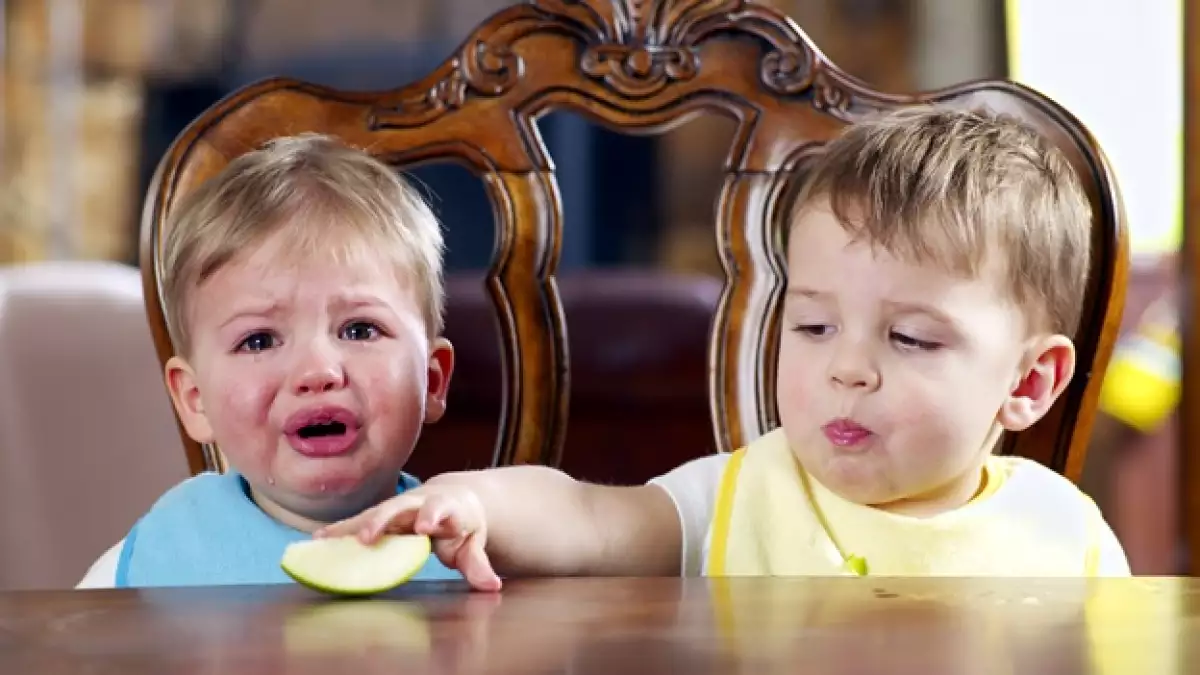 bebes ninos comida poder bully