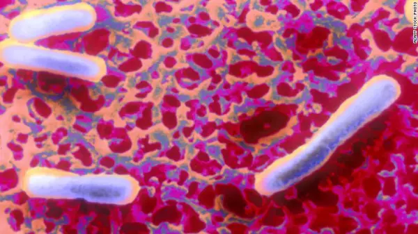 bacteria 3.jpg