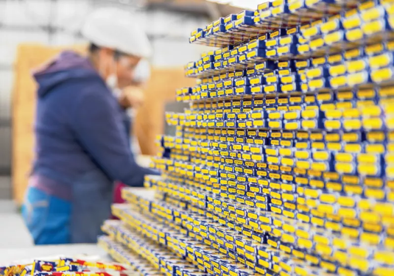 pyrosmart pirotecnia planta