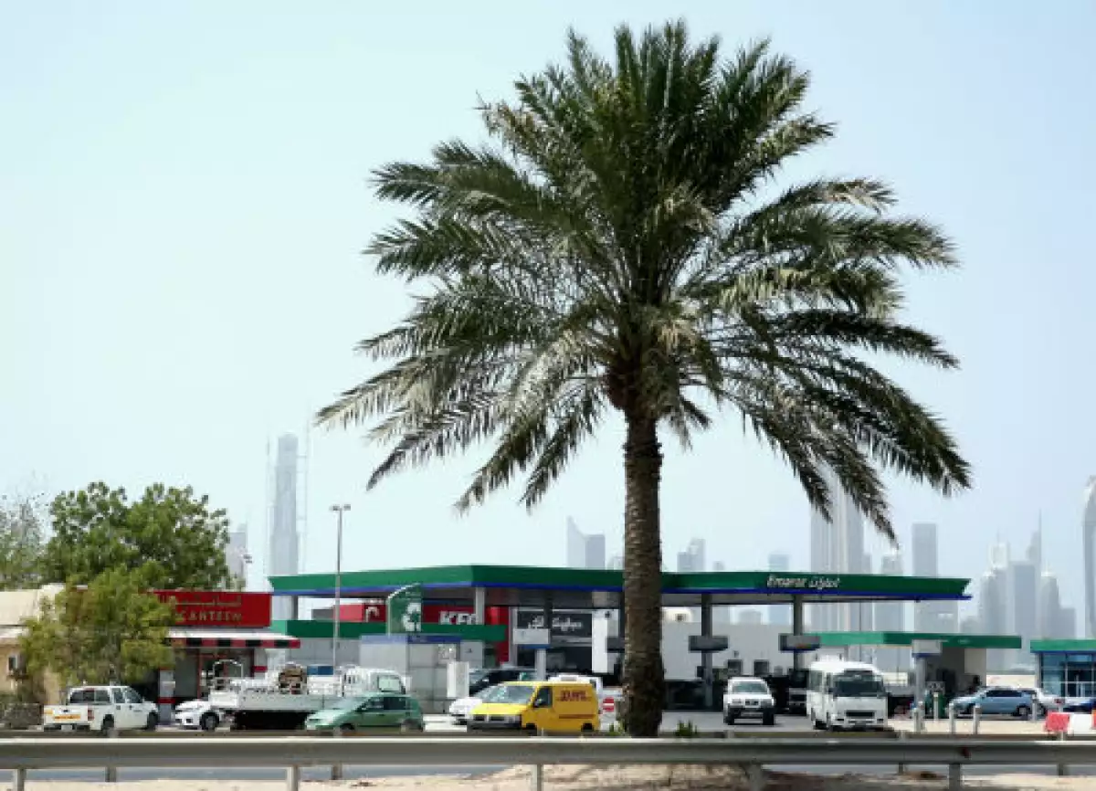 gasolinera EU