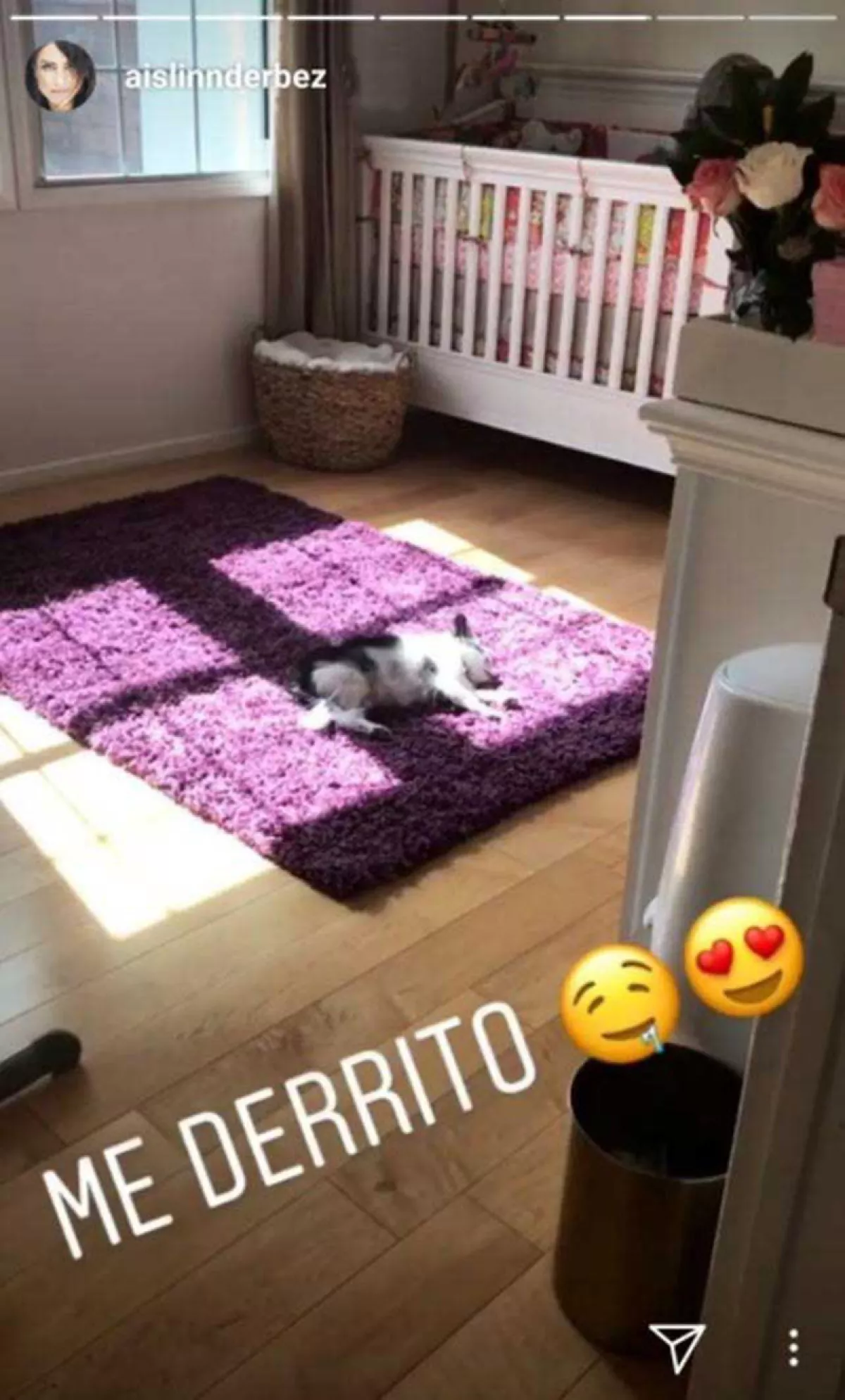 Aislinn Derbez 