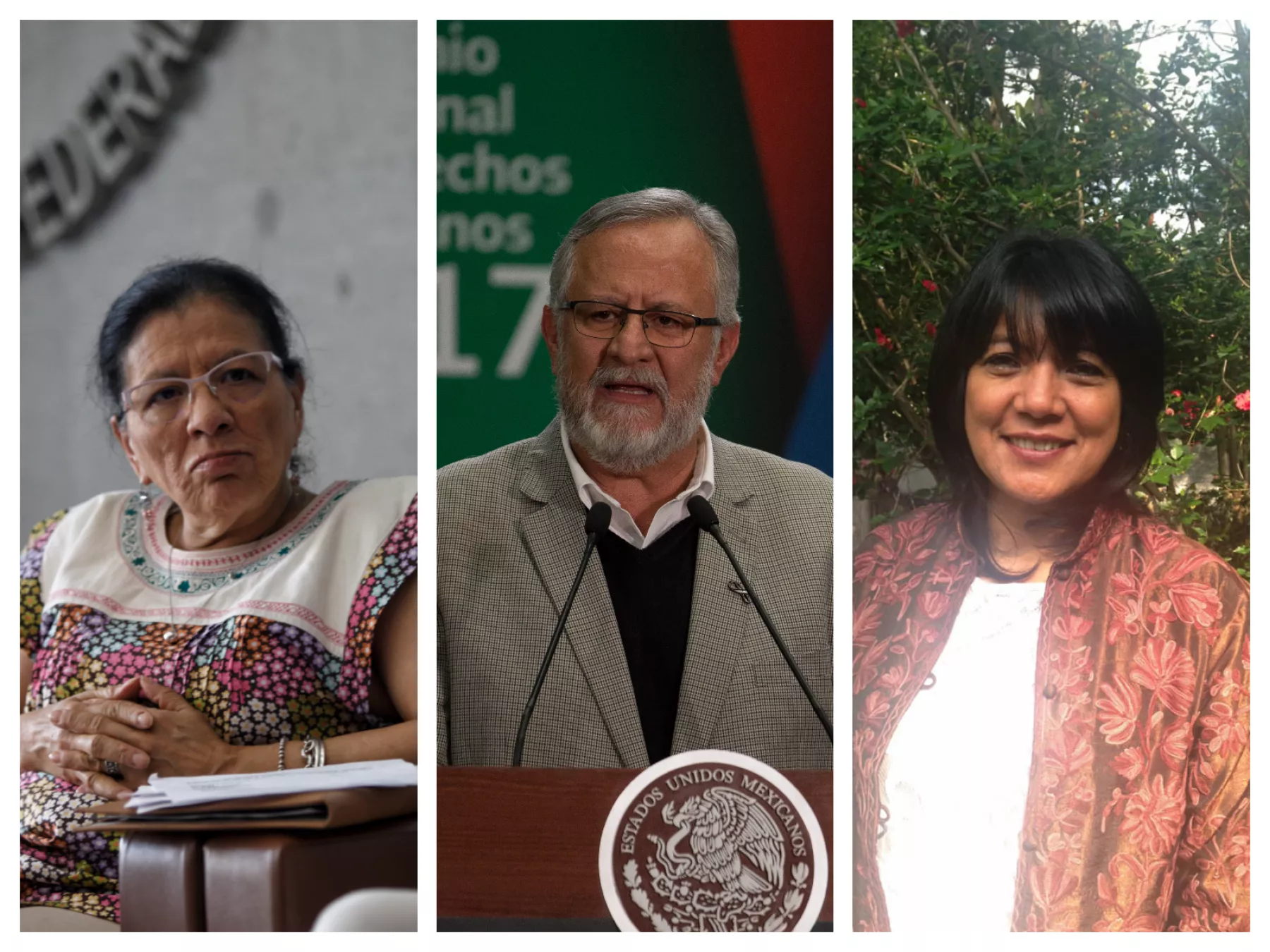 Activistas