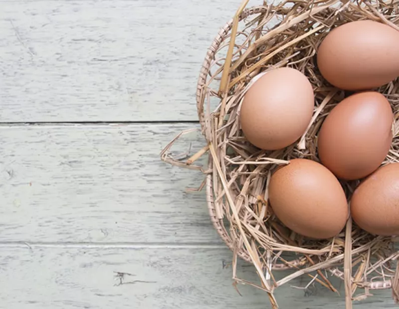 Existen alimentos e ingredientes en tu casa que puedes transformar en productos de belleza de manera rápida y fácil. Te recomendamos cinco indispensables para una piel más sana.